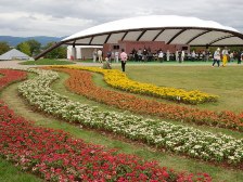 大型テントの花壇