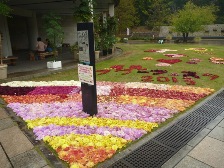 公園館前のダリア花じゅうたん