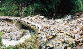 台風により荒廃した渓流
