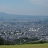 万葉歌人の愛した奈良の町を見下ろす若草山一重目の画像