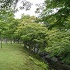 奈良公園内を流れる吉城川の画像