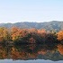 中戸新池から眺める秋の紅葉の画像