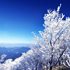 三峰山の霧氷の画像