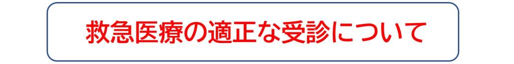 救急医療の適正な受診について