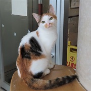 イーヴィル振り返り