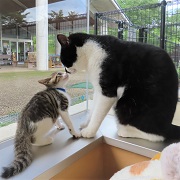 てりと一緒