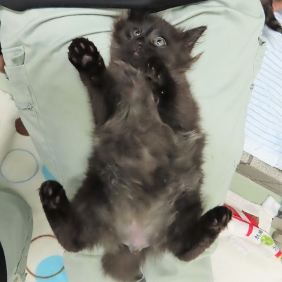 脱力系全身画像