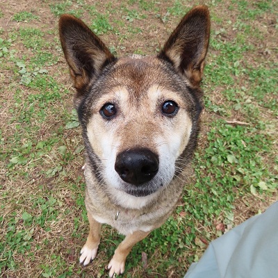 オスワリふゆ美