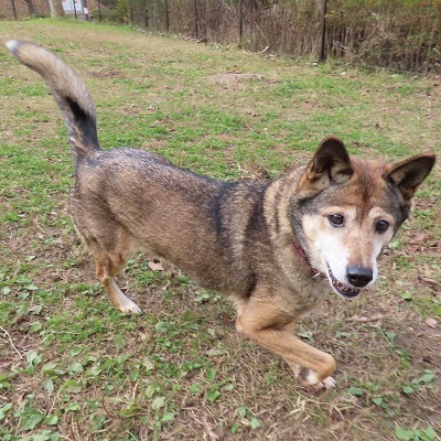 ふゆ美全身画像