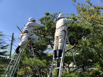 造園技術科