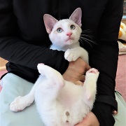 ヨモ抱っこ