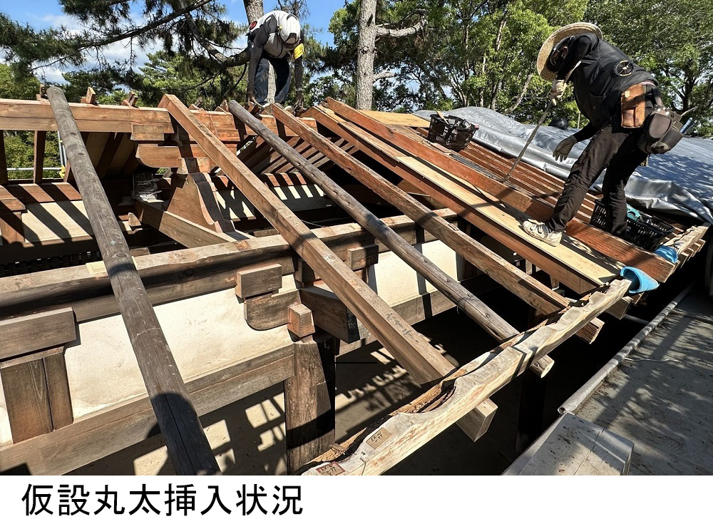 仮設丸太挿入状況