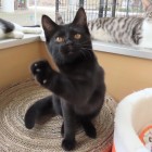 つくだにトップ