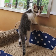 よじ登るのが好きです