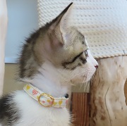 横顔アップ