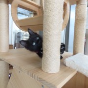 爪とぎめろでぃー