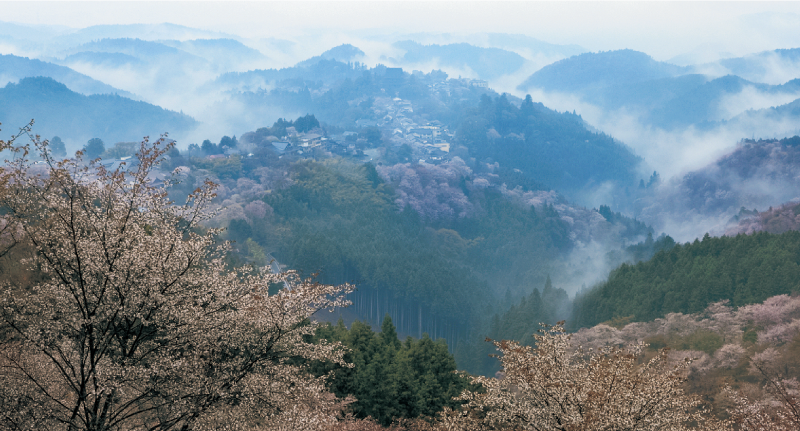 吉野写真