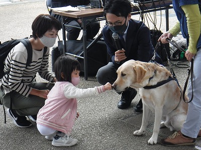 犬との正しいふれあい方