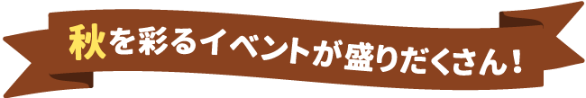 秋を彩るイベントが盛りだくさん！