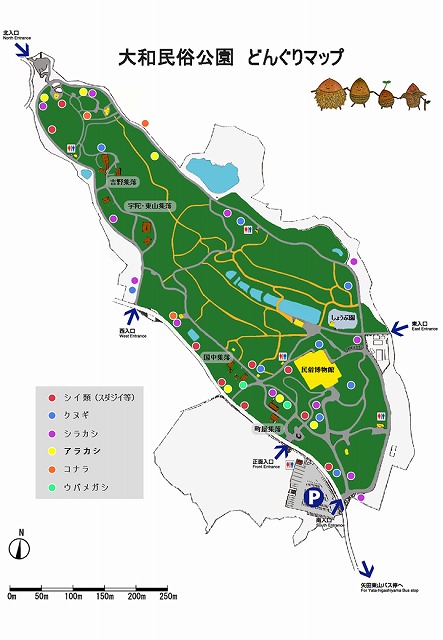 アラカシ修正済みのどんぐりマップ