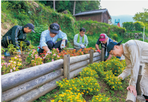 自治会で手作りした花壇に四季折々の花を植栽