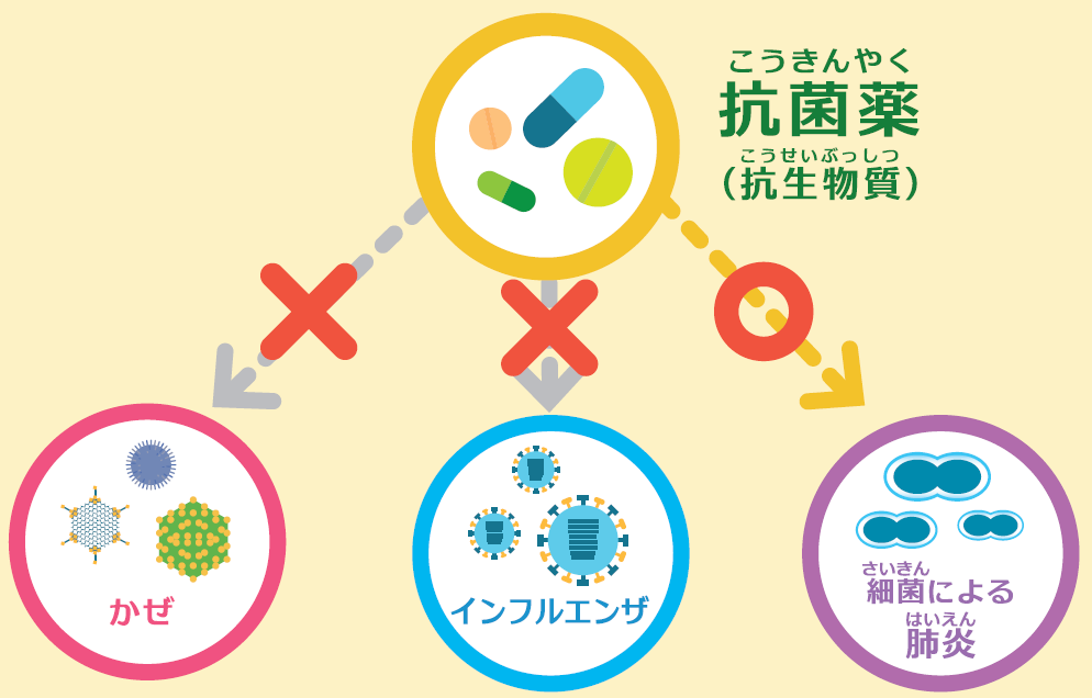 感染症の原因とくすり