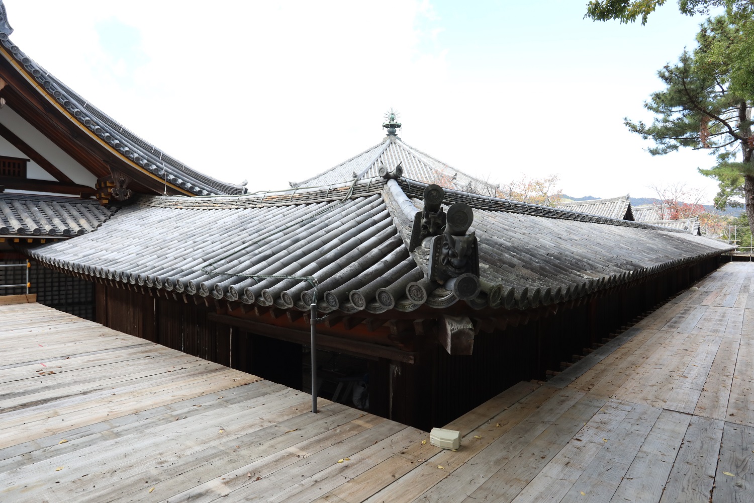 東院廻廊屋根南東より