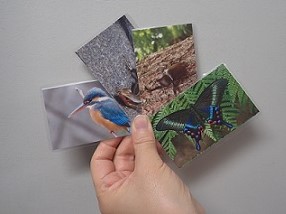 card