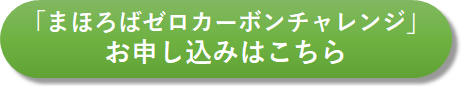 button1