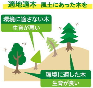 適地適木