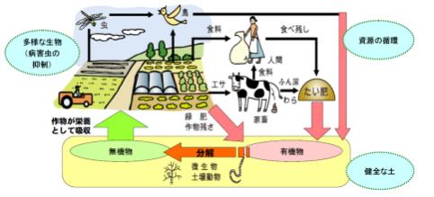 環境保全型農業のイメージ図