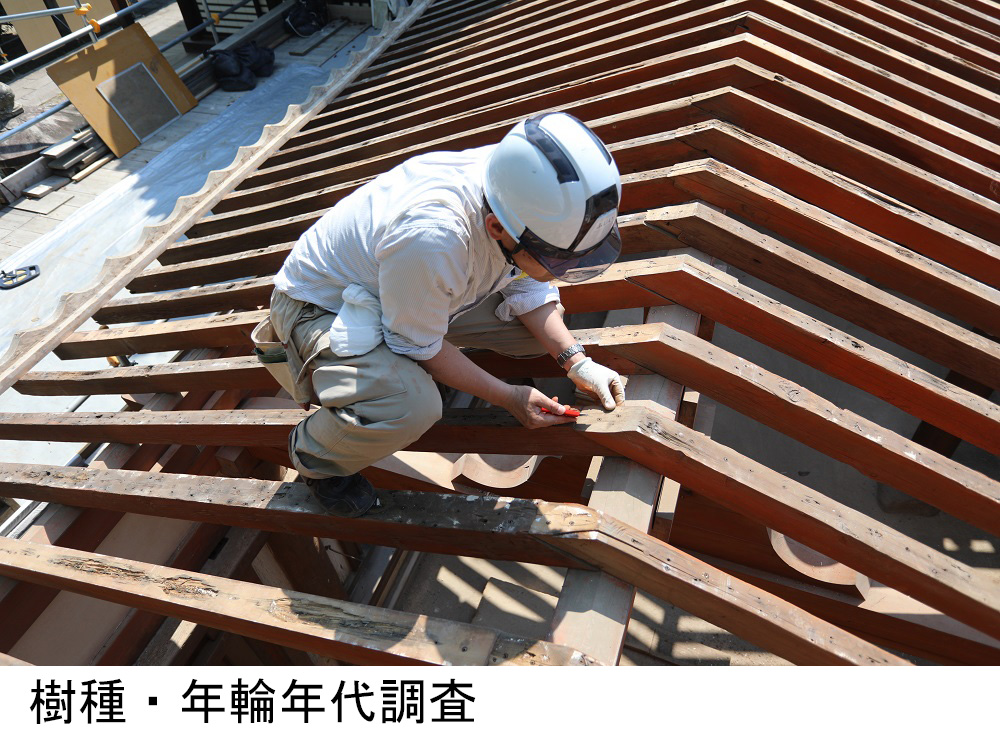 樹種・年輪年代調査