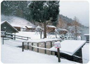 みつえ青少年旅行村