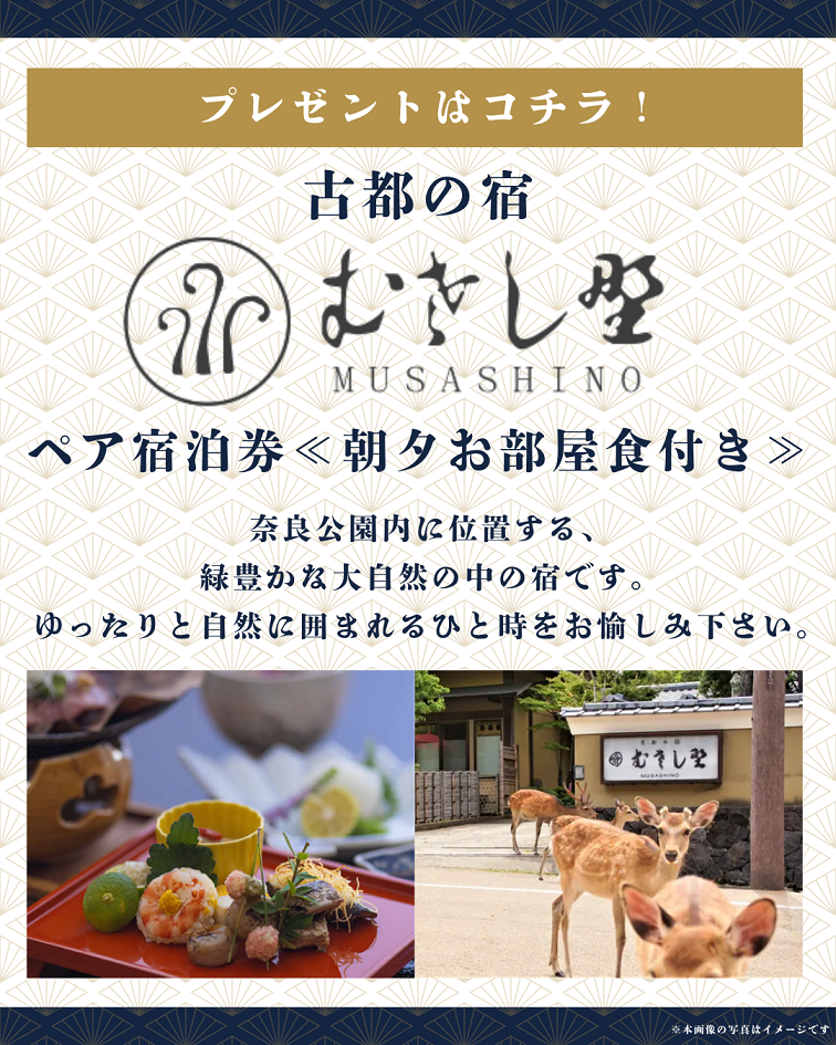 プレゼント情報