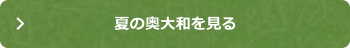 夏の奥大和を見る