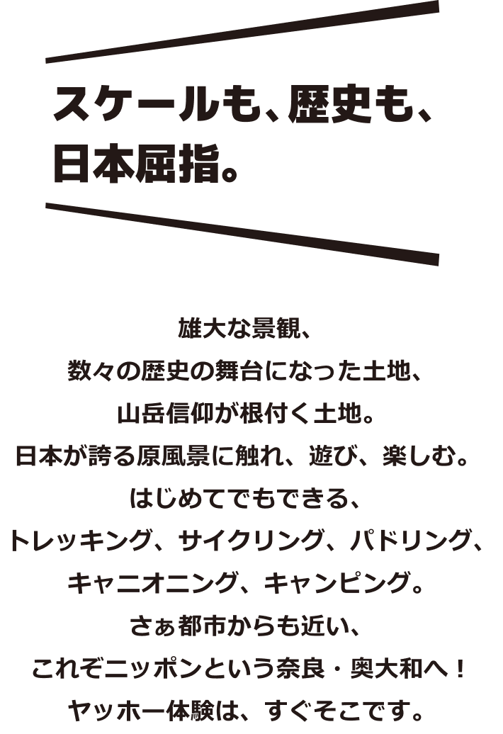 ステートメント