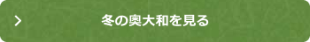 冬の奥大和を見る