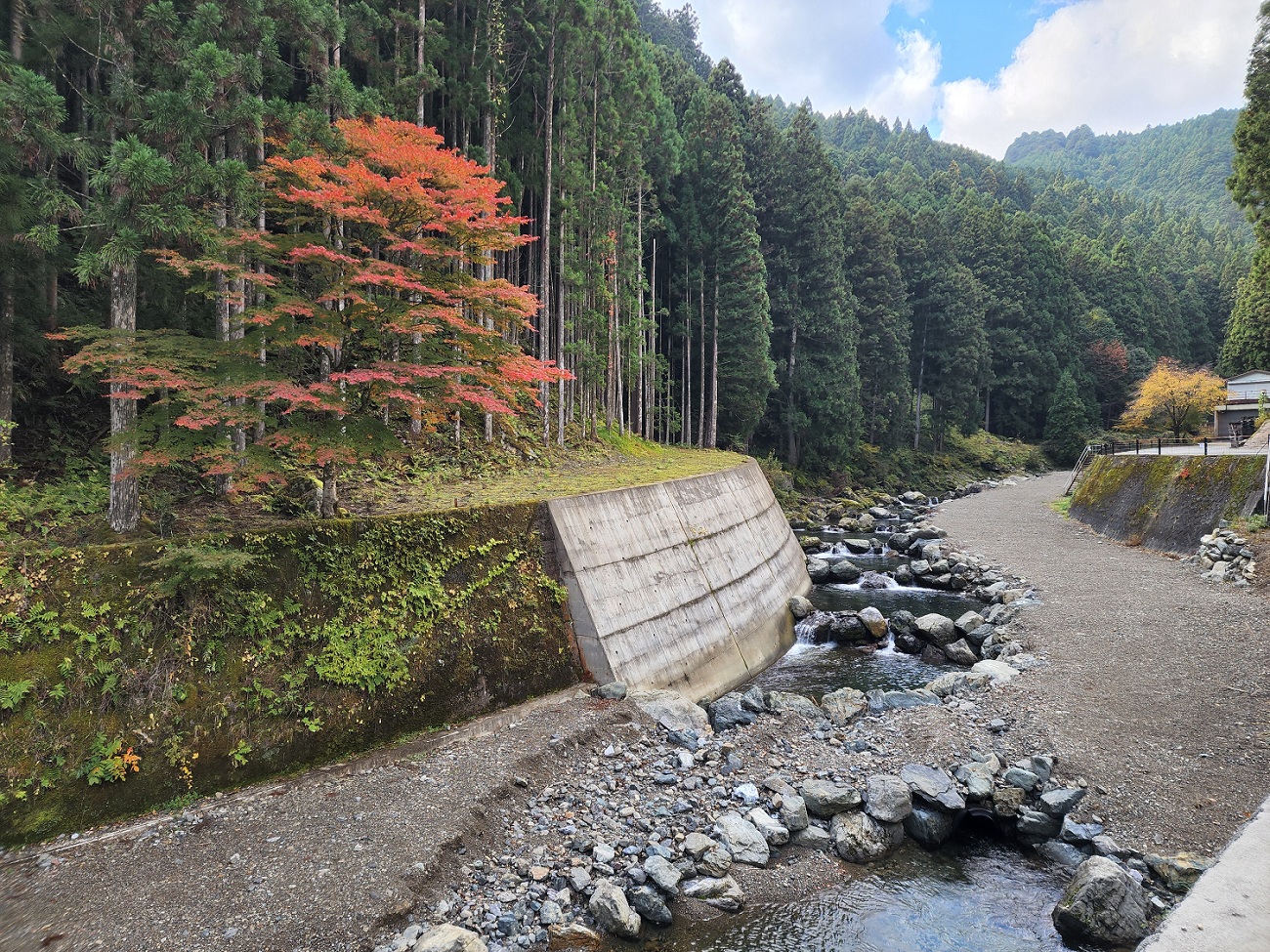 tocotocoの森イメージ写真