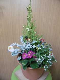 寄せ植え体験写真