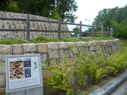 二ノ谷遺跡の現状