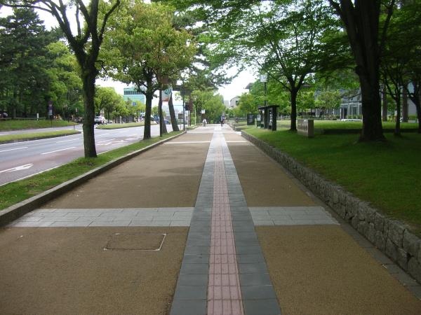 奈良県庁前の歩道