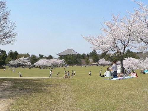 春日野園地