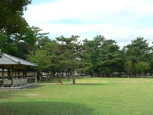 登大路園地写真